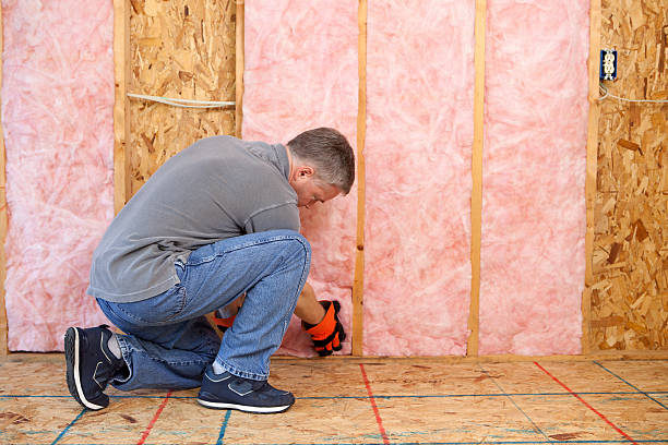Best Eco-Friendly Insulation in River Road, NC